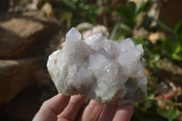 Natural Mixed Spirit Quartz Specimens x 5 From Boekenhouthoek, South Africa