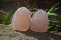 Polished Pink Rose Quartz Standing Free Forms x 3 From Antsirabe, Madagascar