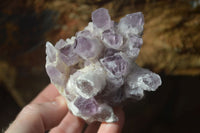 Natural Sugar Amethyst Clusters  x 6 From Solwezi, Zambia