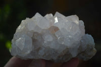 Natural Mixed Spirit Amethyst Quartz Clusters  x 6 From Boekenhouthoek, South Africa - Toprock Gemstones and Minerals 