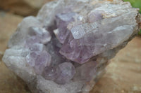 Natural Jacaranda Amethyst Cluster x 1 From Mumbwa, Zambia - TopRock