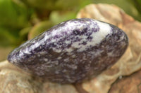 Polished Purple Lepidolite with Specular White Patterns Free Forms x 3 From Zimbabwe - TopRock