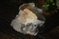 Natural Large Bladed Barite Specimen  x 1 From Congo