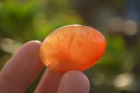 Polished  Mini Carnelian Agate Tumble Stones  x 1 Kg Lot From Madagascar