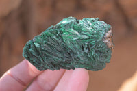 Natural Chatoyant Silky Malachite Specimens  x 12 From Kasompe, Congo