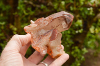 Natural Red Hematoid Phantom Quartz Specimens  x 6 From Karoi, Zimbabwe - TopRock