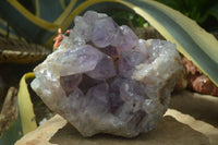 Natural Jacaranda Amethyst Cluster x 1 From Mumbwa, Zambia - TopRock