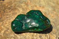 Polished Malachite Free Forms With Stunning Flower & Banding Patterns x 6 From Congo - TopRock