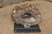 Natural Crystal Centred Amethyst Geode Specimens  x 4 From Zululand, South Africa - TopRock