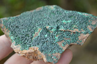 Natural Micro Botryoidal Malachite on Matrix Specimens x 6 From Tenke Fungurume, Congo - TopRock