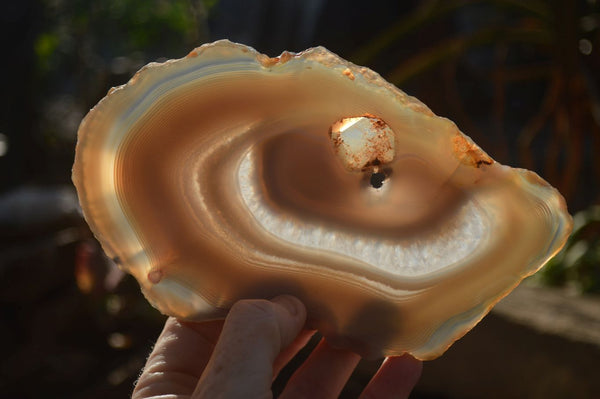 Polished Highly Selected Agate Slices  x 4 From Madagascar