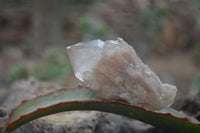 Natural Cascading Smokey Quartz Clusters x 6 From Luena, Congo