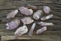 Natural Window Amethyst Crystals  x 12 From Chiredzi, Zimbabwe