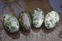 Polished Spotted Leopard Stone Free Forms  x 4 From Zimbabwe - Toprock Gemstones and Minerals 