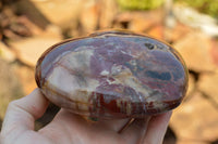 Polished Petrified Red Podocarpus Wood Hearts  x 2 From Mahajanga, Madagascar - TopRock