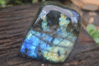 Polished Flashy Labradorite Standing Free Forms  x 3 From Tulear, Madagascar - TopRock