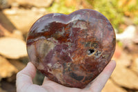 Polished Petrified Red Podocarpus Wood Hearts  x 2 From Mahajanga, Madagascar - TopRock