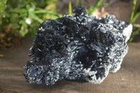 Natural Extra Large Splayed Schorl Black Tourmaline & Vermiculite Specimen x 1 From Erongo, Namibia