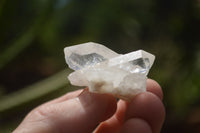 Natural Single Clear Quartz Crystals  x 70 From Zambia - TopRock