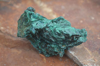 Natural Chatoyant Silky Malachite Specimens  x 12 From Kasompe, Congo - Toprock Gemstones and Minerals 