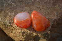 Polished  Mini Carnelian Agate Tumble Stones  x 1 Kg Lot From Madagascar