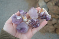 Natural Spirit Amethyst Quartz Crystals  x 24 From Boekenhouthoek, South Africa - Toprock Gemstones and Minerals 