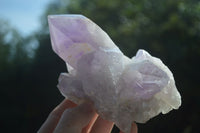 Natural Jacaranda Amethyst Clusters  x 3 From Mumbwa, Zambia - Toprock Gemstones and Minerals 