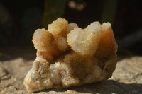 Natural Mixed Spirit Quartz Specimens x 5 From Boekenhouthoek, South Africa