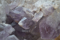 Natural Jacaranda Amethyst Cluster x 1 From Mumbwa, Zambia - TopRock