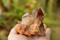 Natural Red Hematoid Phantom Quartz Specimens  x 6 From Karoi, Zimbabwe - TopRock