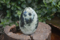 Polished Spotted Leopard Stone Free Forms  x 4 From Zimbabwe - Toprock Gemstones and Minerals 