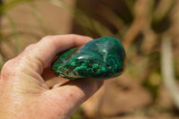 Polished Malachite Free Forms With Stunning Flower & Banding Patterns x 6 From Congo - TopRock