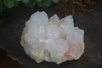 Natural White Spirit Cactus Quartz Clusters  x 2 From Boekenhouthoek, South Africa - Toprock Gemstones and Minerals 