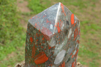 Polished Huge Bloodstone (Seftonite) Point With Pyrite Specks  x 1 From Swaziland - TopRock