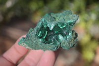 Natural Chatoyant Silky Malachite Specimens  x 12 From Kasompe, Congo