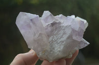 Natural Jacaranda Amethyst Clusters  x 6 From Mumbwa, Zambia - Toprock Gemstones and Minerals 