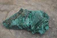 Natural Chatoyant Silky Malachite Specimens  x 12 From Kasompe, Congo - Toprock Gemstones and Minerals 