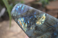 Polished Flashy Labradorite Standing Free Forms  x 3 From Tulear, Madagascar - TopRock