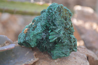 Natural Chatoyant Silky Malachite Specimens  x 12 From Kasompe, Congo