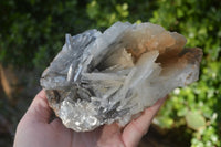 Natural Large Bladed Barite Specimen  x 1 From Congo