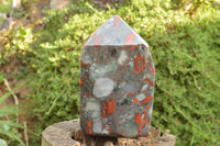 Polished Huge Bloodstone (Seftonite) Point With Pyrite Specks  x 1 From Swaziland - TopRock