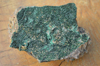 Natural Micro Botryoidal Malachite on Matrix Specimens x 6 From Tenke Fungurume, Congo - TopRock