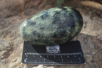 Polished Spotted Leopard Stone Free Forms  x 4 From Zimbabwe - Toprock Gemstones and Minerals 