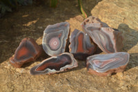 Polished River Agate Nodules  x 6 From Sashe River, Zimbabwe