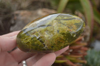 Polished Large Green Opal Standing Free Forms  x 6 From Madagascar - TopRock