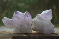 Natural Jacaranda Amethyst Clusters  x 6 From Mumbwa, Zambia - Toprock Gemstones and Minerals 