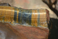 Natural Golden Blue Tigers Eye Specimens  x 2 From Prieska, South Africa - TopRock