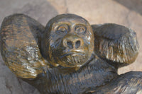 Polished  Black Soapstone Gorilla Carving  x 1 From Zimbabwe