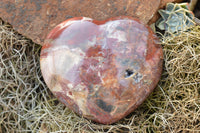 Polished Petrified Red Podocarpus Wood Hearts  x 2 From Mahajanga, Madagascar - TopRock