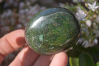 Polished Green Verdite Galet / Palm Stones x 12 From Zimbabwe